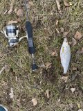 IMG_4415.jpeg