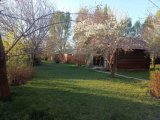 IMG-20250414-WA0026.jpg