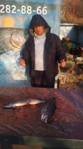 IMG-20250414-WA0077.jpg