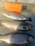 IMG_20250414_213845_646.jpg