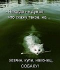 8831692_original.jpg