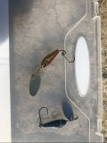 IMG_0206.jpeg
