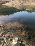 IMG_0208.jpeg