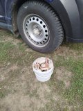 IMG_20250412_161518.jpg