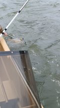 IMG_20250415_134139.jpg