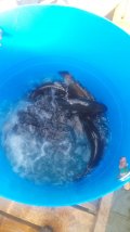 IMG-20250416-WA0005.jpg