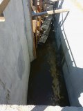 IMG_20250416_140631.jpg