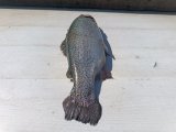 IMG_20250416_133449.jpg