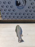 IMG_20250416_133605.jpg