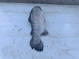 IMG_20250416_173844.jpg