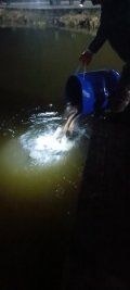 IMG_20250417_020523_807.jpg