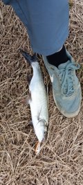 IMG_20250416_164540.jpg
