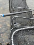 IMG_0827.jpeg