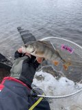 IMG_0823.jpeg
