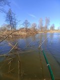 IMG_20250404_101222.jpg
