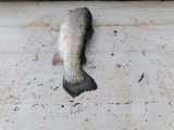 IMG_20250418_173713.jpg