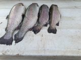 IMG_20250418_172721.jpg
