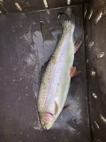 IMG_1319.jpeg