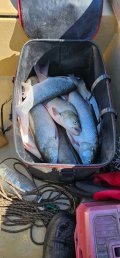 IMG-20250418-WA0034.jpg