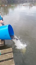 IMG-20250419-WA0017.jpg