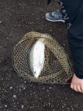 IMG-20250419-WA0012.jpg