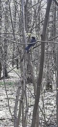 20250419_124319.jpg