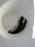 IMG_9203.jpeg