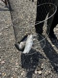 IMG_9201.jpeg