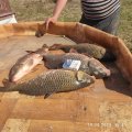IMG-20250419-WA0002.jpg