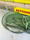 IMG_3869.jpeg