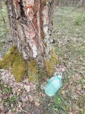IMG_20250419_208.jpg