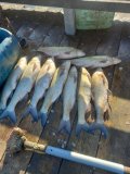 IMG-20250418-WA0006.jpg