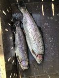 IMG_1365.jpeg