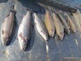 IMG_20250419_200712_744.jpg