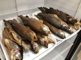 IMG_1375.jpeg