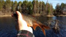 IMG_20190424_112238.jpg