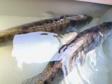 IMG_20250419_122827.jpg