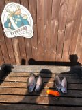 Изображение хрюхрюp 2025-04-20 в 16.19.20_d42309e5.jpg