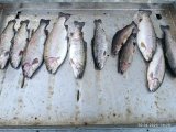 IMG_20250420_200133_494.jpg