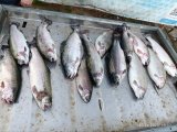 IMG_20250420_200119_730.jpg