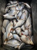 IMG_1859.jpeg