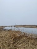 IMG_1833.jpeg