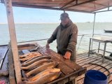 IMG_6028.jpeg
