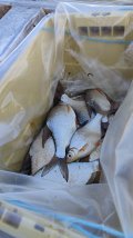 IMG-20250420-WA0118.jpg