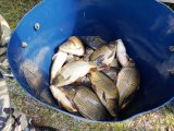 IMG_20250421_120615_284.jpg