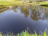 IMG_20250421_105817.jpg