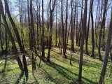 IMG_20250421_110428.jpg