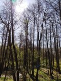 IMG_20250421_110433.jpg