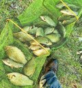 IMG_20250421_220719.jpg