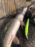 IMG_20250422_090736_026.jpg